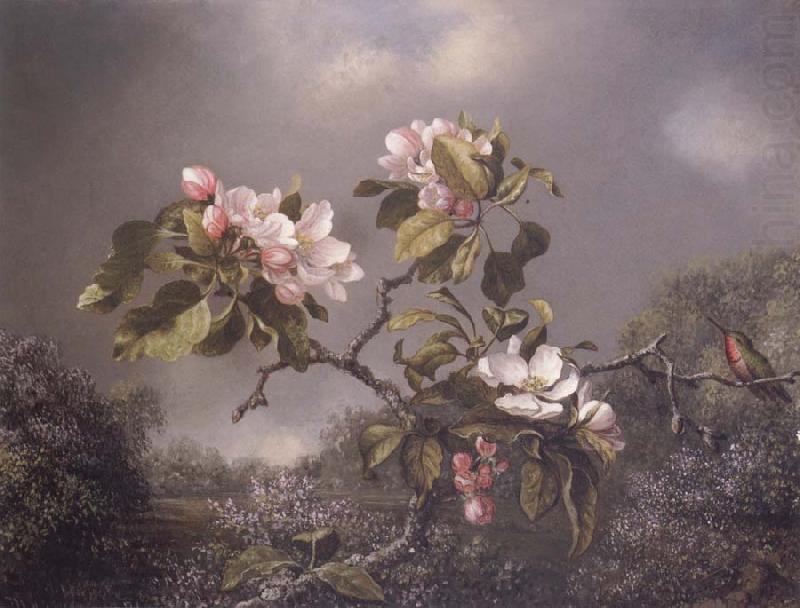 Apple Blosoms and Hummingbird, Martin Johnson Heade